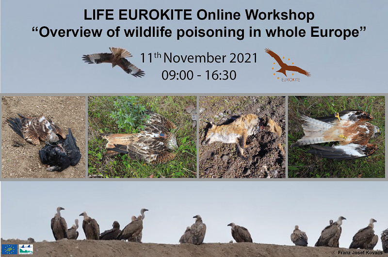 LIFE EUROKITE webinárium a vadon élő állatok mérgezéséről Európában 2021. november 11-én 9:00-16:30-ig